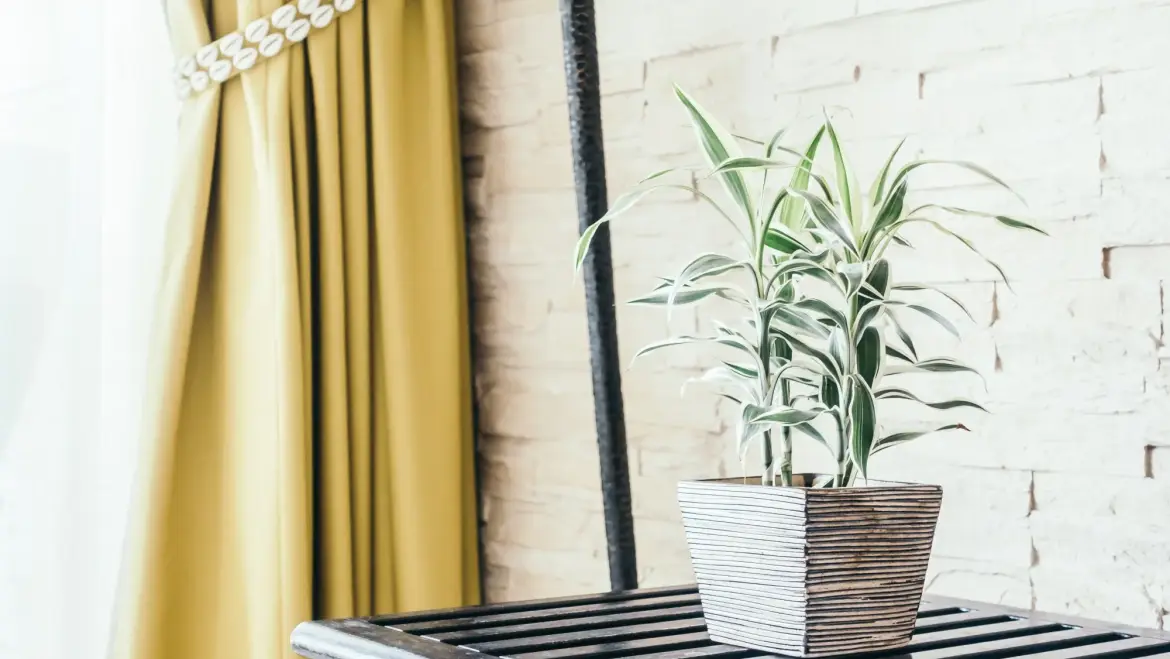 Selecting the Best Window Treatments for Bathrooms