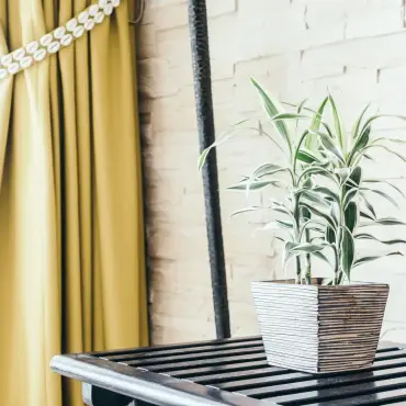 Selecting the Best Window Treatments for Bathrooms